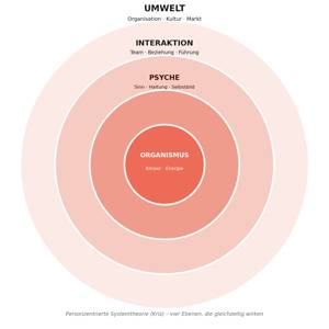 Konzentrisches Vier-Ebenen-Modell: Organismus, Psyche, Interaktion, Umwelt nach der Personzentrierten Systemtheorie von Jürgen Kriz